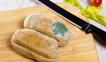  با مواد غذایی کپک‌زده چه باید کرد؟