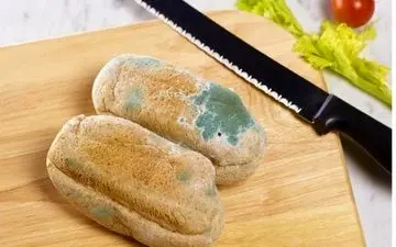  با مواد غذایی کپک‌زده چه باید کرد؟