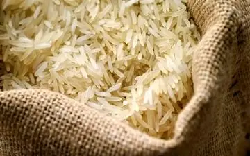 قیمت برنج خارجی مرداد ۱۴۰۴ | ارزان‌ترین برنج کیلویی چند؟
