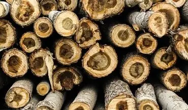 کشف 3 تن چوب‌آلات جنگلی قاچاق در ساری