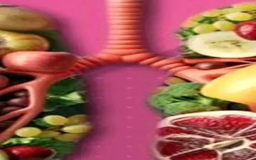 اگر مشکل ریه دارید حتما این مطلب را بخوانید!