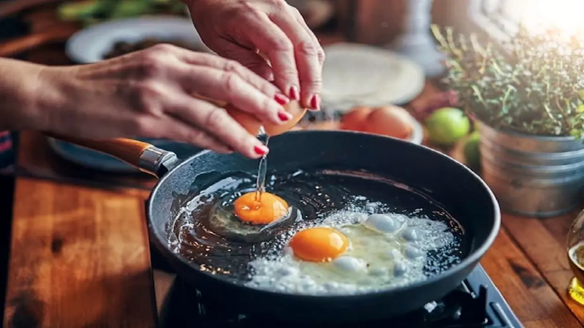 مصرف روزانه تخم مرغ و حقایقی جالب