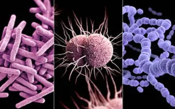  روشی برای تشخیص سریع و دقیق عفونت