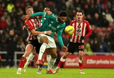 IMG_20260212_023844_411