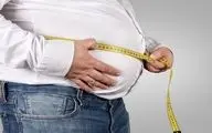 راهکارهای مقابله با چاقی / نقش سایر عوامل در بروز چاقی