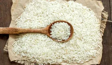 قیمت روز برنج ایرانی ۲۹ مرداد ۱۴۰۴ | برنج درجه یک گیلان چند شد؟ + جدول