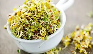 عرق یونجه: گیاهی با خواص دارویی شگفت‌انگیز برای سلامت بدن