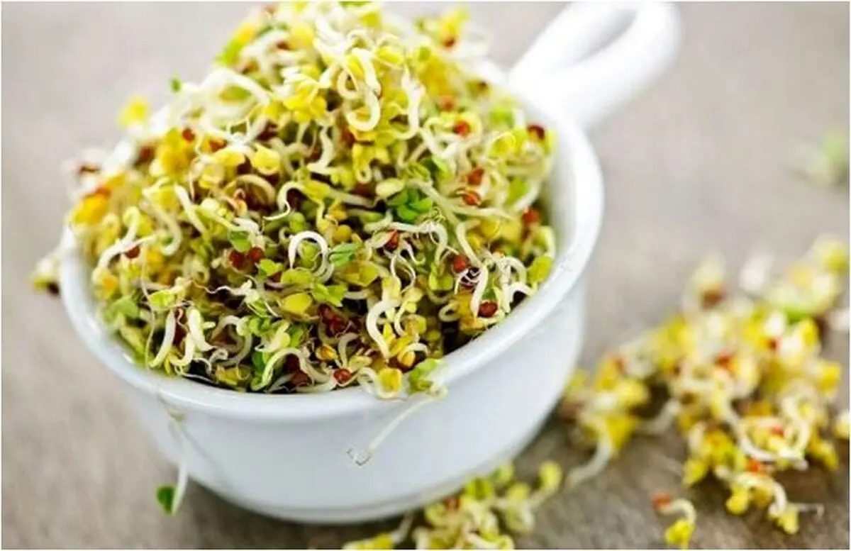 عرق یونجه: گیاهی با خواص دارویی شگفتانگیز برای سلامت بدن