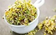 عرق یونجه: گیاهی با خواص دارویی شگفت‌انگیز برای سلامت بدن