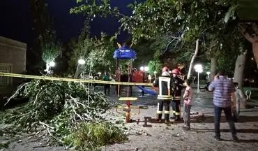 سقوط درخت روی مادر و کودک / در تربت حیدریه رخ داد 