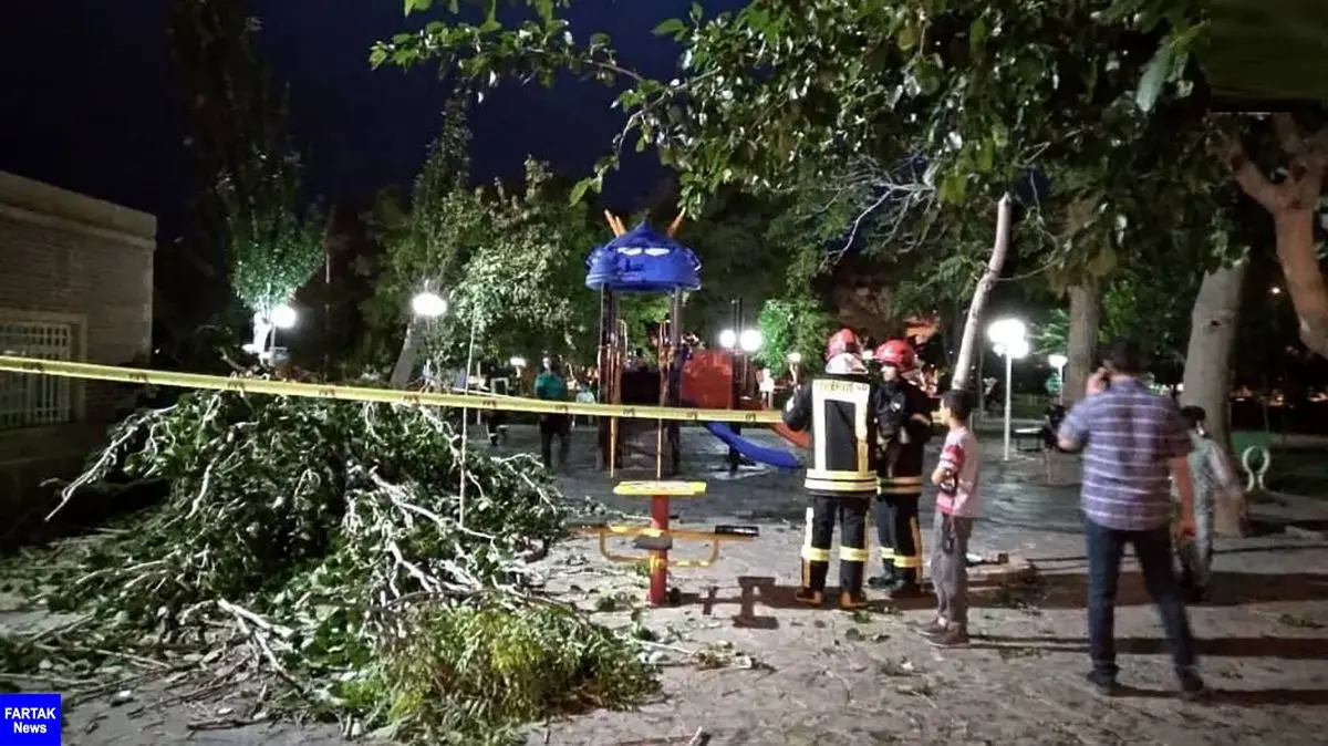 سقوط درخت روی مادر و کودک / در تربت حیدریه رخ داد 
