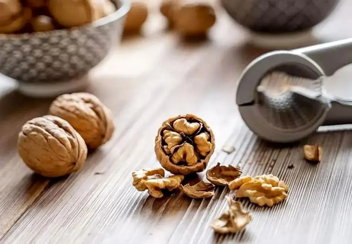 فواید خوردن گردو برای قلب/چرا گردو مفید است؟