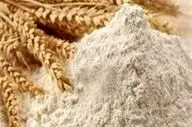 توقف فروش آرد به نانوایان آزادپز در سامانه بازرگانی دولتی
