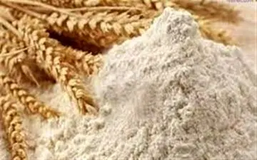 توقف فروش آرد به نانوایان آزادپز در سامانه بازرگانی دولتی