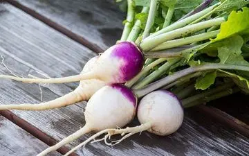 مصرف شلغم برای این افراد ممنوع!/ 6موردی که باید در مورد شلغم بدانید 