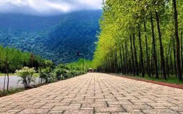  لذت سفری بی نظیر در طبیعت نمک آبرود