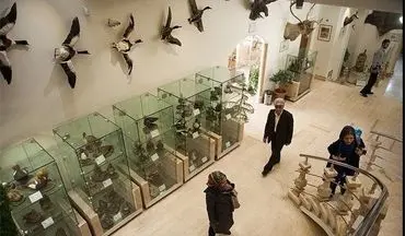 بیش از ۱۶ هزار نفر از موزه‌های استان ایلام بازدید کردند