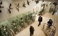 بیش از ۱۶ هزار نفر از موزه‌های استان ایلام بازدید کردند