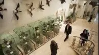 بیش از ۱۶ هزار نفر از موزه‌های استان ایلام بازدید کردند