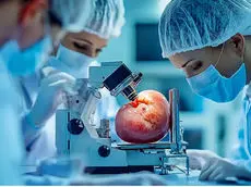 میزان کافی مصرف مایعات برای پیشگیری از سنگ کلیه چقدر است؟