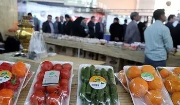 غذای 9 میلیون ایرانی دور ریخته می شود!