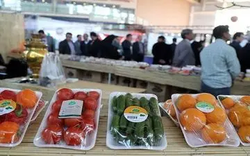 غذای 9 میلیون ایرانی دور ریخته می شود!