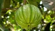 با این میوه به سادگی لاغر شوید 