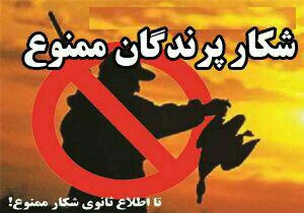 شکار پرندگان در استان کرمانشاه ممنوع اعلام شد