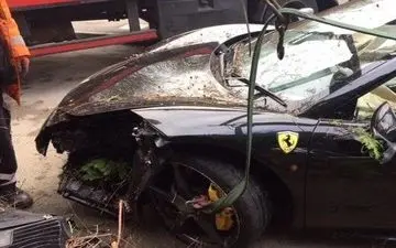 عکس/ ورود «فِراری» به باغچه یک خانه