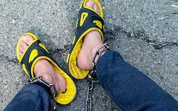 عامل حیوان آزاری در نهاوند دستگیر شد