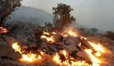 دختر ۳ ساله طعمه آتش سوزی مراتع در شهرستان رستم شد