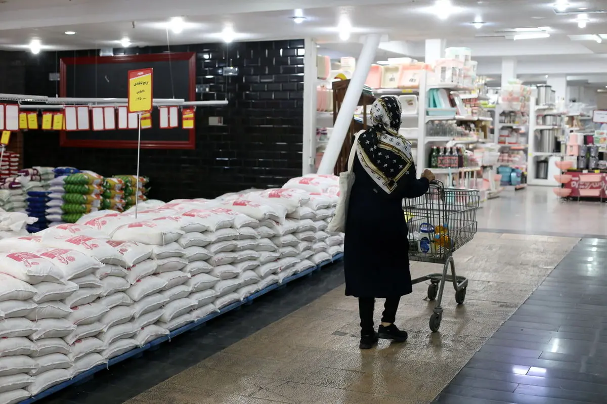 کاهش قیمت برنج ایرانی؛ قیمت هاشمی و طارم در بازار امروز