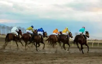 هفته نهم مسابقات اسبدوانی کورس گنبدکاووس برگزار شد