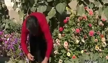 خلاقیت یک شهروند اراکی برای سرزندگی و نشاط خانواده 