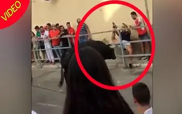 لحظه دلهره‌آور حمله غافلگیرانه گاو به تماشاچی 