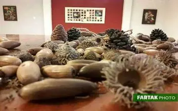 نگارخانه بلوط در روز جهانی گرافیک در کرمانشاه افتتاح شد