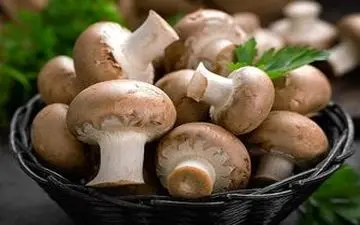 تاثیر فوق العاده قارچ‌ها در مقابله با آنفلونزا

