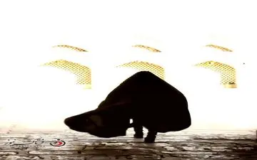 تصاویر دیدنی از ضیافت همدلی و محبت در مقبره علامه مجلسی