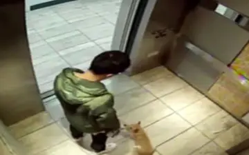 حیوان آزاری در آسانسور + فیلم