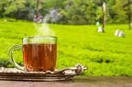 ۶ غذا که نباید همراه چای بخورید!