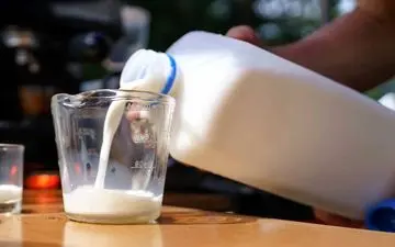 این شیر خاص برای سلامت استخوان‌ها معجزه می‌کند