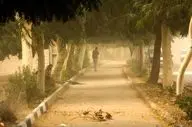 شهروندان تهرانی بخوانند: کارهایی که باید در هنگام وقوع طوفان انجام دهید