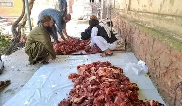 طالبان گوشت قربانی پخش کرد
