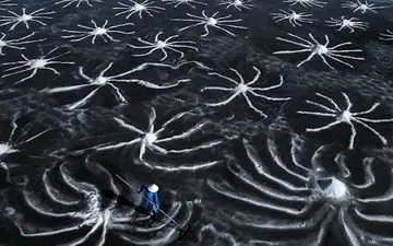  عکس منتخب نشنال جئوگرافیک | ستاره های نمکی