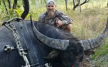 انتقام سخت بوفالو از شکارچی در واپسین لحظات! 