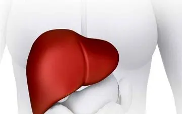 بهترین قرص برای کبد چرب را بشناسید