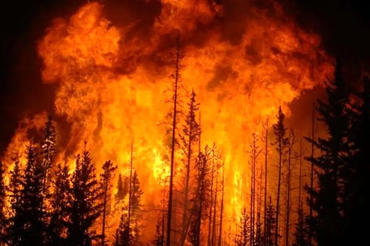 افزایش دمای ۱۴ درجه‌ای دمای هوای گلستان/ احتمال آتش‌سوزی در جنگل‌ها وجود دارد
