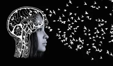 رمز و راز حافظه: چرا برخی خاطرات در ذهن حک می‌شوند و برخی دیگر به سرعت فراموش می‌شوند؟