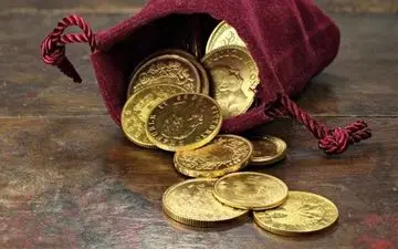 حراج و پیش‌فروش سکه | جزئیات مرحله جدید برای متقاضیان اعلام شد`43