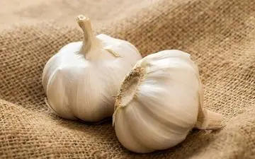 مصرف سیر در شرایط خاص ممنوع است